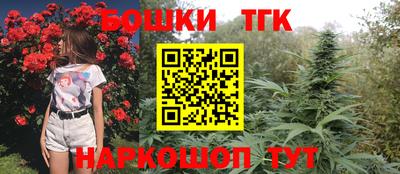 гидра Кимры